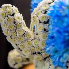 Всероссийская Школа Офтальмолога, ВШО-2013, Снегири. Информационный партнер www.organum-visus.com Фото Т. Пустовойтова Всероссийская Школа Офтальмолога, ВШО-2013, Снегири. Информационный партнер www.organum-visus.com Фото Т. Пустовойтова