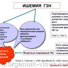 Еричев В.П. (НИИ глазных болезней РАМН, г. Москва) - Проблемы нейропротекторной терапии. Доклад на XII Всероссийской Школе офтальмолога, Снегири, 15 марта 2013 г. (ВШО-2013). Глаукома, glaucoma. Информационная поддержка www.organum-visus.com Еричев В.П. (НИИ глазных болезней РАМН, г. Москва) - Проблемы нейропротекторной терапии. Доклад на XII Всероссийской Школе офтальмолога, Снегири, 15 марта 2013 г. (ВШО-2013). Глаукома, glaucoma. Информационная поддержка www.organum-visus.com