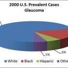 Epidemiology of glaucoma. Epidemiology of glaucoma.