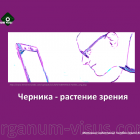 Eye supplements. О чернике - растении зрения. Новости офтальмологии портала Орган зрения www.organum-visus.com Eye supplements. О чернике - растении зрения. Новости офтальмологии портала Орган зрения www.organum-visus.com