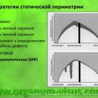 Соколов В.О., Морозова Н.В., Новиков  Д.П. Стандартная автоматизированная периметрия. Анализ результатов исследования. Интерпретация полученных данных. Доклад на XX Международном офтальмологическом конгрессе «Белые ночи-2014”, 27 июня 2014г. Информационный партнер портал Орган зрения organum-visus.com ("зрительный холм")