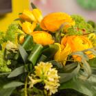 Всероссийская Школа Офтальмолога, ВШО-2015 (Russian School Ophthalmologist), Снегири, Россия. Информационный партнер www.organum-visus.com Фото Т. Пустовойтова Всероссийская Школа Офтальмолога, ВШО-2015 (Russian School Ophthalmologist), Снегири, Россия. Информационный партнер www.organum-visus.com Фото Т. Пустовойтова