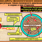Светлова О.В., Рябцева А.А., Макаров Ф.Н., Кошиц И.Н. Устойчивость к прогибу решётчатой пластинки и функциональные нарушения микрофлуктуации склеры - два ключевых звена в ранней диагностике и профилактике глаукомы. Доклад: "Глаукома: теория и практика", Санкт-Петербург, 24-25 февраля 2012г. Инфомационный партнер www.organum-visus.com Светлова О.В., Рябцева А.А., Макаров Ф.Н., Кошиц И.Н. Устойчивость к прогибу решётчатой пластинки и функциональные нарушения микрофлуктуации склеры - два ключевых звена в ранней диагностике и профилактике глаукомы. Доклад: "Глаукома: теория и практика", Санкт-Петербург, 24-25 февраля 2012г. Инфомационный партнер www.organum-visus.com