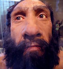 Глаза неандертальца (гипотеза). Neanderthal eyes. Глаза неандертальца (гипотеза). Neanderthal eyes.