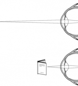 What is the accommodation of the eye? About eyes anywhere on the portal www.organum-visus.com
