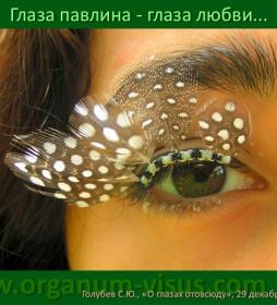 Why one peacock eye? Легенда об Аргосе. О глазах отовсюду. Why one peacock eye? Легенда об Аргосе. О глазах отовсюду.