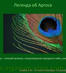 Why one peacock eye? Легенда об Аргосе. О глазах отовсюду. Why one peacock eye? Легенда об Аргосе. О глазах отовсюду.