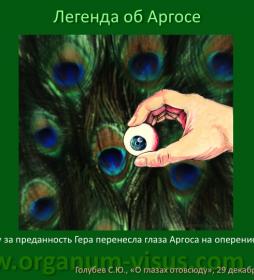 Why one peacock eye? Легенда об Аргосе. О глазах отовсюду. Why one peacock eye? Легенда об Аргосе. О глазах отовсюду.