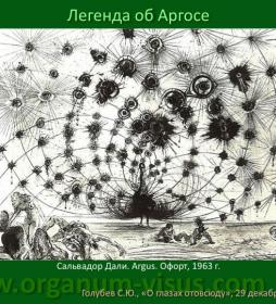 Why one peacock eye? Легенда об Аргосе. О глазах отовсюду. Why one peacock eye? Легенда об Аргосе. О глазах отовсюду.