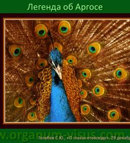 Why one peacock eye? Легенда об Аргосе. О глазах отовсюду. Why one peacock eye? Легенда об Аргосе. О глазах отовсюду.