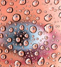 Мир из капель. About eyes everywhere! www.organum-visus.com Мир из капель. About eyes everywhere! www.organum-visus.com