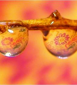 Весь мир отражается в воде. The World of Water. Весь мир отражается в воде. The World of Water.