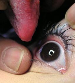 Eyeball licking! О глазах отовсюду на портале Орган зрения www.organum-visus.com Eyeball licking! О глазах отовсюду на портале Орган зрения www.organum-visus.com