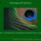 Why one peacock eye? Легенда об Аргосе. О глазах отовсюду.